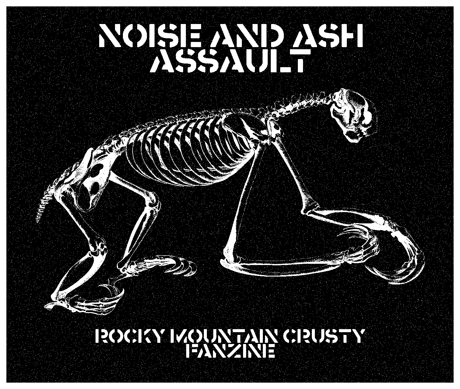 NOISE AND ASH ASSAULT Logo